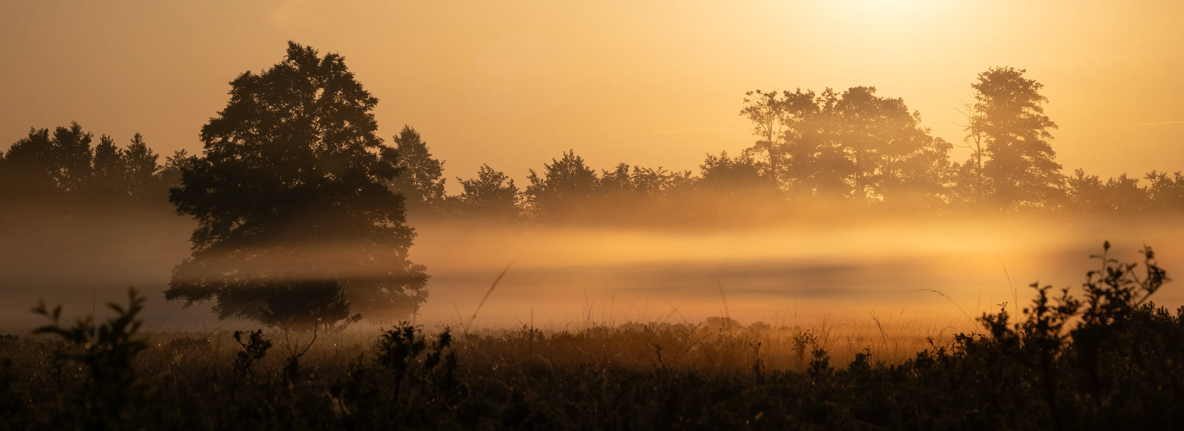 Sonnenaufgang2